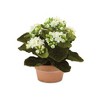 Melrose Potted Kalanchoe Flower (Set of 4) - 2 of 4