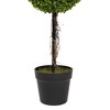 Northlight 4' Unlit Artificial Potted Two Tone Green Double Ball Boxwood Topiary Garden Tree - 4 of 4