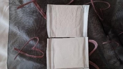 L . Organic Cotton Topsheet Ultra Thin Panty Liners - 100ct : Target