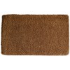 HomeRoots 22" X 36" Brown Coir Outdoor Door Mat - 4 of 4