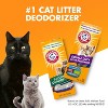 Arm & Hammer Odor Control Cat Litter Deodorizer Double Duty - 30oz - 3 of 4