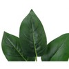 Monarch Specialties Artificial Plant 17 inch Tall Aureum Indoor Faux Fake Table Greenery Potted Real Touch Decorative Green Leaves White Pot - 4 of 4