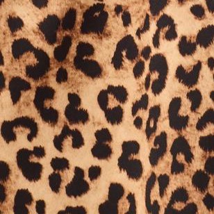 leopard print