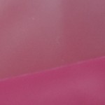 rose red