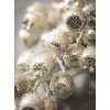 Sullivans Berry Artificial Stem 25"H Brown - 2 of 3