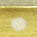 metallic gold dots small
