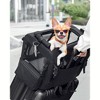 Feandrea Airline Approved Small Dog Carrier, Collapsible Pet Travel Carrier, Size S, Leash, Pocket, Small Dogs up to 13 lb, 17 x 12 x 12 Inches, Black - 4 of 4
