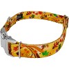 Country Brook Petz Premium Autumn Wind Dog Collar - 4 of 4