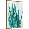 16" x 23" Variegated by Eva Watts Framed Canvas Wall Art - Amanti Art: Modern Lithograph, Botanical Theme, Sawtooth Back Mount - 2 of 4
