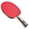 Butterfly Franziska Innerforce ZLC Pro-Line Racket + Dignics 05 + Dignics 05 - 2 of 4