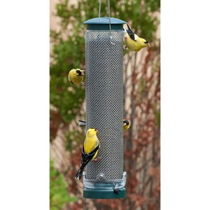 Aspects Spruce Medium Quick Clean Nyjer Mesh Thistle Tube Bird Feeder - 1.25 Quart - 1 of 2