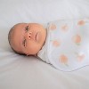 aden + anais essentials Easy Zipless Swaddle Wraps - 0-3 Months - 4 of 4