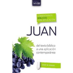 Comentario Bíblico Con Aplicación NVI Juan - (Comentarios Bíblicos Con Aplicación NVI) by  Gary M Burge (Paperback) - 1 of 1