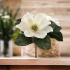 Floral Home 12" White Magnolia Pick - 12-Piece - 4 of 4