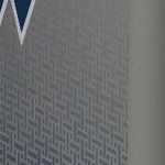 vancouver whitecaps