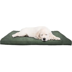 PETMAKERWater-Resistant Dog Bed - Orthopedic Dog Bed with Removable Washable Cover, Pet Mattress - Puppy Essentials (Green) - 1 of 1