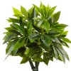 5ft Artificial Money Tree In Black Square Planter - Nearly Natural ...