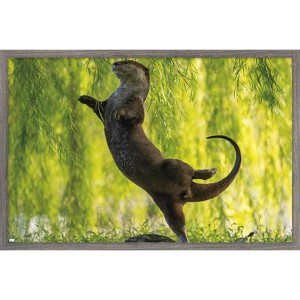 Trends International The Comedy Wildlife Photography Awards: Otter Kwek - Ballerina Framed Wall Poster Prints - 1 of 4