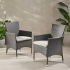 Modern Patio PE Wicker Rattan Woven Dining Chair Set of 2,Porch Balcony Outdoor Cushion Dining Arm Chair,2 Pieces Garden Lounge Chair-Coolbibila - 2 of 4