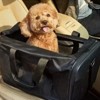 FURNIinspire Pet Travel Carrier Soft Sided Portable Bag for Cats, Small Dogs, Kittens or Puppies, 17"*12"*12" - 2 of 4