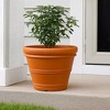Tusco Products Plastic Rolled Rim Planter - 3 of 3