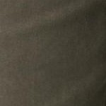 black olive