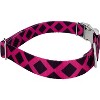 Country Brook Petz Premium Fabulous Lattice Dog Collar Limited Edition - 3 of 4