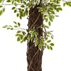 Nearly Natural 7.5' Variegated Mini Ficus Tree - image 3 of 3