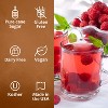 Syruvia Raspberry Syrup - 25.4 fl oz. Premium Flavoring Syrup For Coffee - 4 of 4