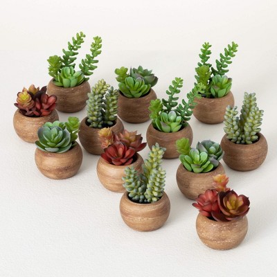 Sullivans Artificial 4.5" Mini Potted Succulent - Set of 12