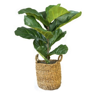 36" x 18" Artificial Fiddle Leaf Fig Plant in Basket - LCG Florals: Faux Fig, Indoor Polyester Decor, Wicker Basket