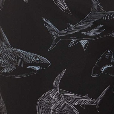 black - shark