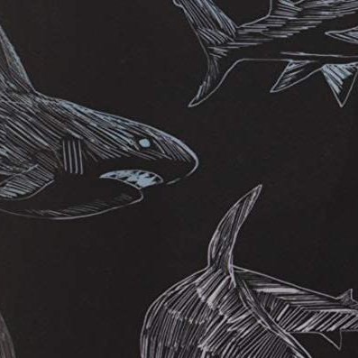 black - shark