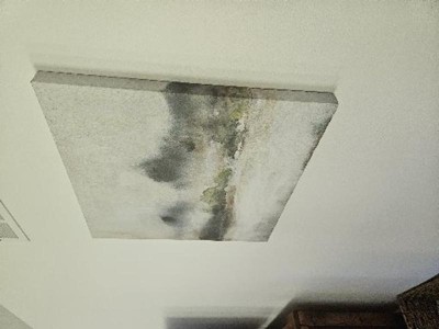 Guest review image 2 of 2, zoom in
