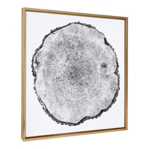 Kate and Laurel Sylvie Tree Rings Framed Canvas by Emiko and Mark Franzen of F2Images - 1 of 4