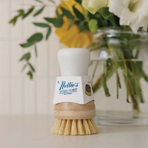 Nellie's Forever Dishwashing Brush - 1 of 1