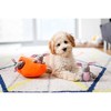 ZippyPaws Burrow Bunny 'n Carrot Dog Toy - 3 of 4