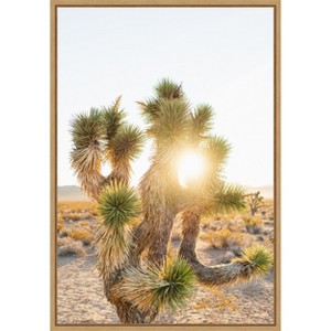 Amanti Art Joshua Tree Sunrise by Bethany Young Canvas Wall Art Print Framed - 1 of 4