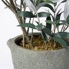 37" Artificial Olive Bush Tree in Pot Black - Threshold™ designed with Studio McGee - image 4 of 4