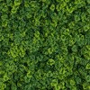 Nearly Natural 20-in x 40-in UV Resistant Irish Green Meadow Artificial Living Wall Art Panel in Black Aluminum Frame (Indoor/Outdoor) - 3 of 4