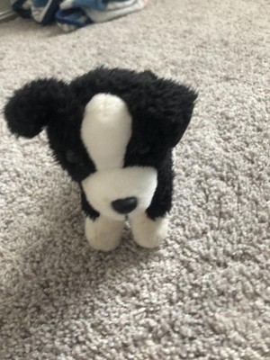 Stuffed Border Collie – The AHA Store