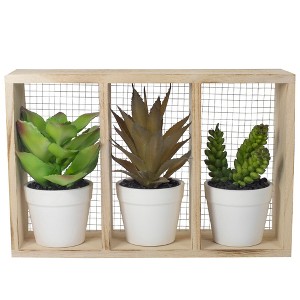 Northlight 10.75" Artificial Mixed Potted Succulents in Wooden Box - 1 of 4
