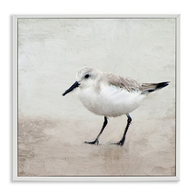 Stupell Industries Lone Sandpiper Bird Portrait, 24" x 24"