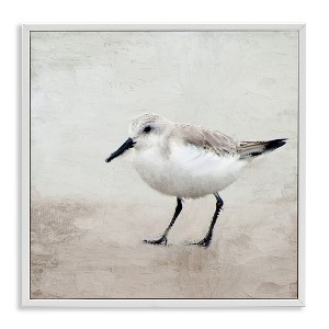 Stupell Industries Lone Sandpiper Bird Portrait, 24" x 24" - 1 of 4