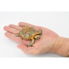 Collectible Wildlife Gifts | Turtle, Green Sea Turtle, Museum Quality, Hand Painted, Rubber Reptile, Realistic Toy Model, Gift,   3"   CH310 BB130 - 2 of 4