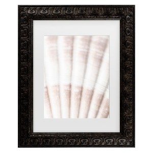 Trademark Fine Art - Pictufy Studio Shell 2 Matted Framed Art - 1 of 4