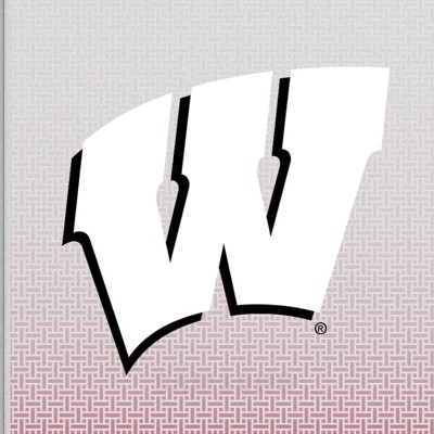 wisconsin badgers