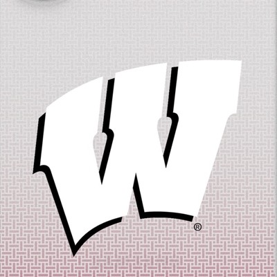 wisconsin badgers