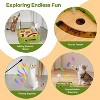 Cat Puzzle Toys Interactive Cat Dancer for Indoor Cats,Teasing Box with Squeaky Toys and Scratching Felt - 4 of 4