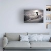 Trademark Fine Art -Sandi Bertoncelj 'Backcountry Skiing' Canvas Art - 2 of 4